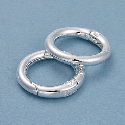 合金プッシュ式リングカン  Oリング  銀  6ゲージ  24x4mm  内径：16.5mm&nbsp;PALLOY-M015-01S