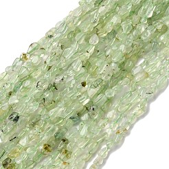 天然石プレナイトビーズ連売り  ナゲット  5~9x4~6x3~4.5mm  穴：0.7mm  約75~89個/連  15.35''（39cm）〜15.94''（40.5cm）&nbsp;G-I389-A19