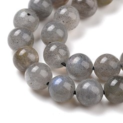 Natural Labradorite Bead Strands&nbsp;G-P259-03-6mm