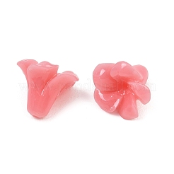 染色された合成珊瑚彫刻ビーズ  花  ライトコーラル  12.5x14.5x14.5mm  穴：1.5mm&nbsp;GG-CBA1CDD-02A-01