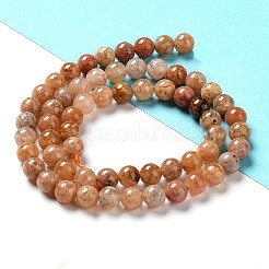 Natural Flower Agate Beads Strands&nbsp;G-B044-A01-01