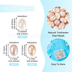 60Pcs 3 Styles Natural Cultured Freshwater Pearl Beads Strands&nbsp;PEAR-TA0001-22