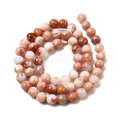 Natural Pink Agate Beads Strands&nbsp;G-K350-C02-6mm