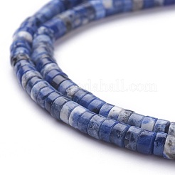 Natural Sodalite Beads Strands&nbsp;G-H230-10