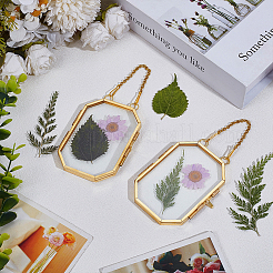 Brass Hanging Photo Frames&nbsp;DIY-WH0888-609A