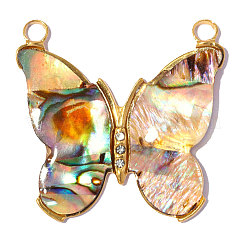 304 Stainless Steel & Abalone Shell Paua Shell Pendants&nbsp;STAS-A26-04-04
