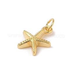 スターリングシルバーのヒトデチャーム925個  丸カン＆スタンプ925個付き  ゴールドカラー  8x6.4x2mm  穴：1.6mm&nbsp;STER-K181-04G