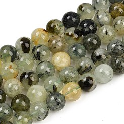 Natural Prehnite Beads Strands&nbsp;X-G-P322-48-10mm-01
