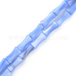 Natural Freshwater Shell Beads Strands&nbsp;SHEL-G013-01