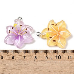 Resin Pendants&nbsp;RESI-D016-04B