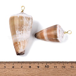 Brass & Natural Cone Shell Pendants&nbsp;SHEL-Q029-20-02KCG