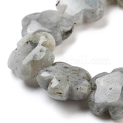 Natural Labradorite Beads Strands&nbsp;G-F769-P01-01