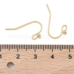 SHEGRACE Brass Earring Hooks&nbsp;XGR0137G-155G