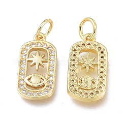 Brass Micro Pave Clear Cubic Zirconia Charms&nbsp;LS-ZIRC-L076-053G