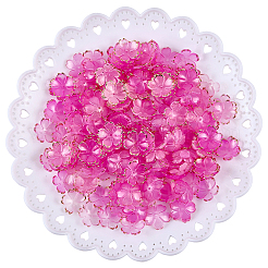 アクリルビーズキャップ180個  5  - 花びらの花  黄金の縁を持つ  カメリア  17.5x18x5mm  穴：1.2mm&nbsp;OACR-PA0001-37A