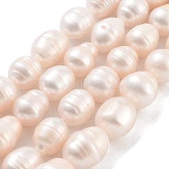 Natural Cultured Freshwater Pearl Beads Strands&nbsp;PEAR-P062-11B