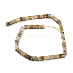 Natural Crazy Lace Agate Beads Strands&nbsp;G-Q1008-B11