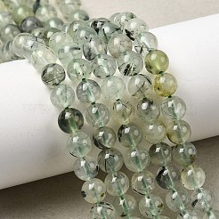 Natural Prehnite Beads Strands&nbsp;G-G457-6mm-03