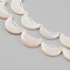 Electroplate Natural Freshwater Shell Beads Strands&nbsp;SHEL-T017-15A