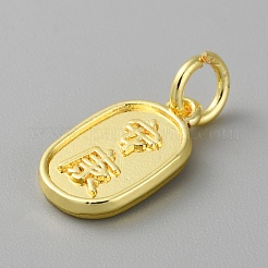 Alloy Pendants with Chinese Characters&nbsp;FIND-WH0159-63G-26