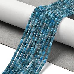 天然石アパタイトビーズ連売り  多面カット  ロンデル  3x2mm  穴：0.8mm  約190個/連  15.55''（39.5センチメートル）&nbsp;G-G155-A01-01