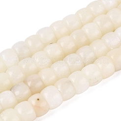 Natural White African Opal Beads Strands&nbsp;G-Q616-02A-01