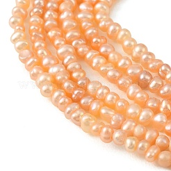 Natural Cultured Freshwater Pearl Beads Strands&nbsp;PEAR-L034-13B
