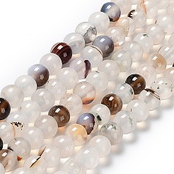 Natural Dendritic Agate Beads Strands&nbsp;G-D845-04-8mm