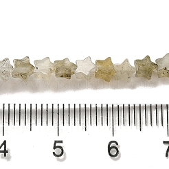 Natural Labradorite Beads Strands&nbsp;G-G085-B25-01