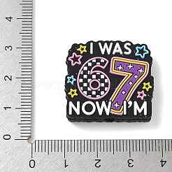ナンバー6 7 テーマ漫画シリコンビーズ  焦点ビーズ  私は67歳でした  今私は  カラフル  25x27.5x7mm  穴：2.7mm&nbsp;SIL-E013-02E