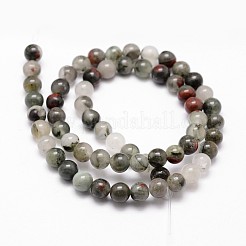 Natural African Bloodstone Beads Strands&nbsp;G-G735-32-10mm