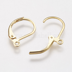 304 Stainless Steel Leverback Earring Findings&nbsp;STAS-F141-03G