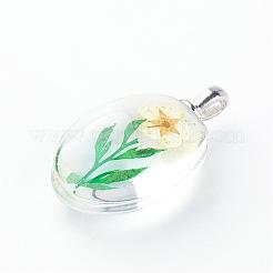 ガラスチャーム  内部のドライフラワーと  オーバル  プラチナ  ミックスカラー  31x18x10~11mm  穴：5x2mm&nbsp;GGLA-Q047-16