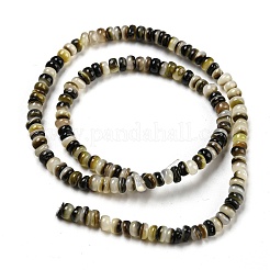 Natural Black Lip Shell Beads Strands&nbsp;BSHE-Z005-06