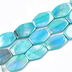 AB Color Freshwater Shell Bead Strands&nbsp;SHEL-T009-04