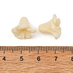 染め加工合成サンゴビーズ  花  トウモロコシの穂の黄色  15x12mm  穴：1.2mm&nbsp;GG-H001-01A-01