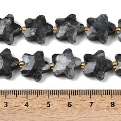 Natural Larvikite Beads Strands&nbsp;G-P573-C11-01
