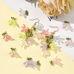 48個8色透明アクリルパーツ  シェルパールビーズと真鍮パーツ  ユリの花のチャーム  ミックスカラー  20x16x12mm  穴：3mm  6個/カラー&nbsp;FIND-SC0016-70