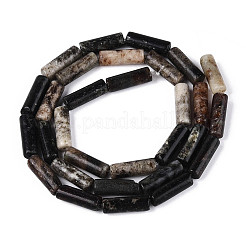 Natural Biotite Beads Strands&nbsp;G-T141-74