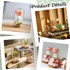 16Pcs Glass Dome Cloche Cover&nbsp;AJEW-SC0001-55B