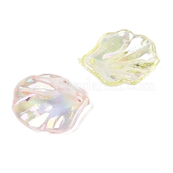 Transparent Acrylic Pendants&nbsp;TACR-F009-08