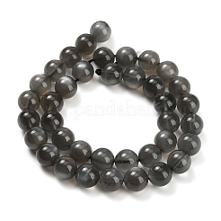 Natural Black Moonstone Beads Strands&nbsp;G-L631-A05-10mm