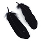 Goose Feather Costume Accessories&nbsp;X-FIND-Q044-05-1