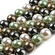 Polished Shell Pearl Bead Strands&nbsp;BSHE-F013-07D-1