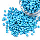 Baking Paint Glass Seed Beads&nbsp;SEED-S001-K10-3