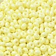 Baking Paint Glass Seed Beads&nbsp;SEED-B001-02A-13-3