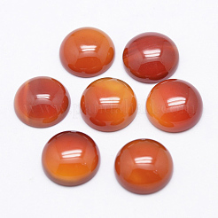 Natural Carnelian Cabochons&nbsp;X-G-P215-15-12mm
