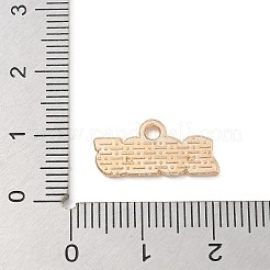 Alloy Enamel Pendants&nbsp;ENAM-A008-13KCG-04