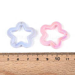 Opaque Acrylic Pendants&nbsp;OACR-N150-03
