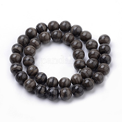 Natural Wood Lace Stone Wooden Jasper Beads Strands&nbsp;G-S259-40-10mm